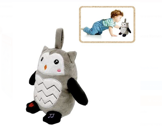 Prima Mea Bufnita cu Sunet Vorbeste Romaneste